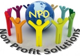 Non-Profit Organizations